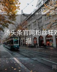 超详细！汤头条官网粉丝狂欢全景扫描