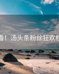 冲浪必看！汤头条粉丝狂欢权威解读