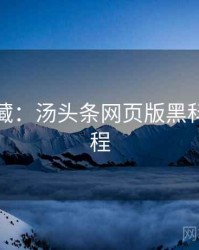 粉丝必藏：汤头条网页版黑科技全流程