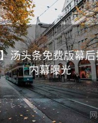 【焦点】汤头条免费版幕后揭秘真实内幕曝光
