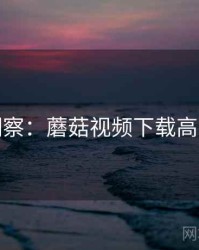 行业洞察：蘑菇视频下载高阶技巧