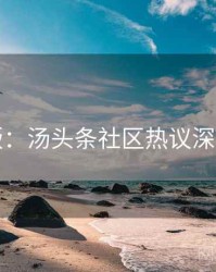 图解版：汤头条社区热议深度解析