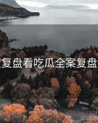 从深度复盘看吃瓜全案复盘懒人包