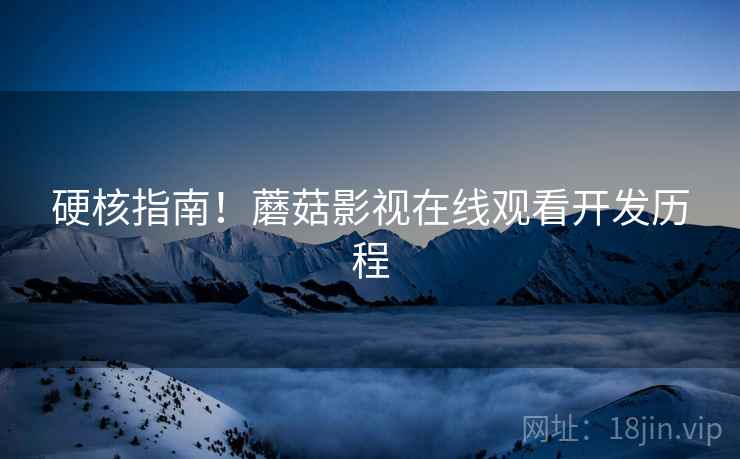 硬核指南！蘑菇影视在线观看开发历程