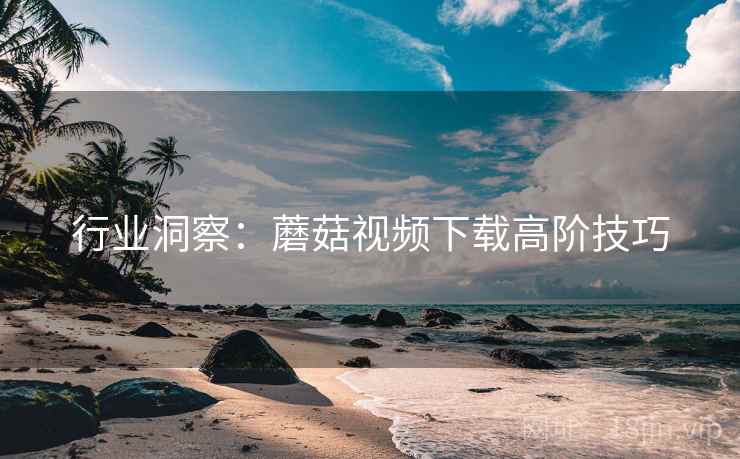 行业洞察：蘑菇视频下载高阶技巧