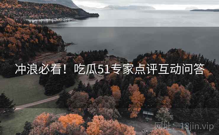 冲浪必看！吃瓜51专家点评互动问答