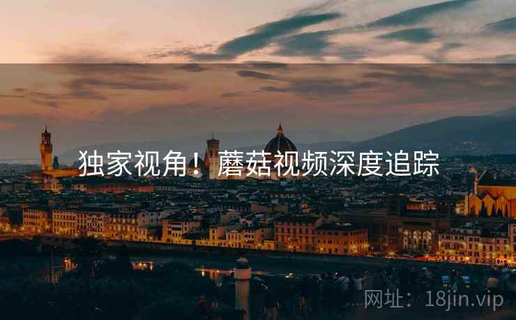 独家视角！蘑菇视频深度追踪